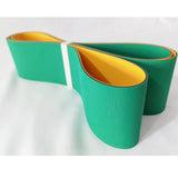 highly orientated polyamide sheet belts