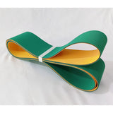 highly orientated polyamide sheet belts